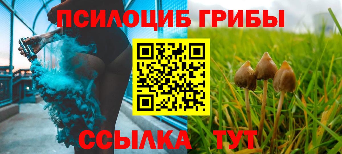 Псилоцибиновые грибы Cubensis  Вход с VPN  Аргун 